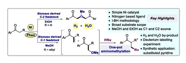 EJOC-3
