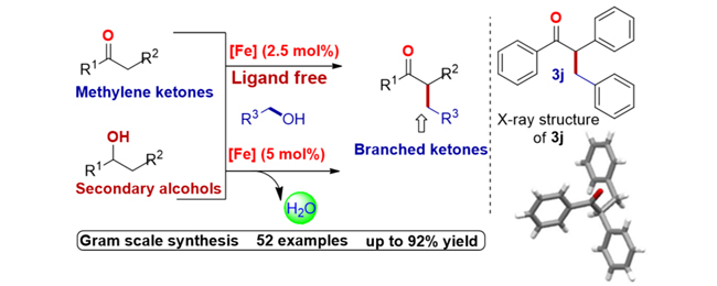 nickel-catalysed-directt