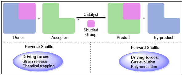 transition-metal-catalyzed