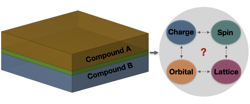 Interface Phenomena