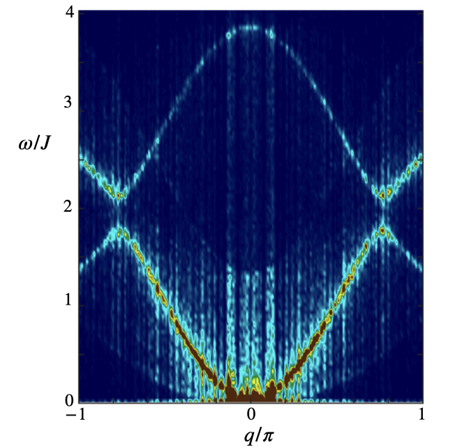 Topological magnons
